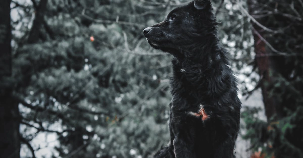 Программы лояльности казино без депозита для молодых игроков